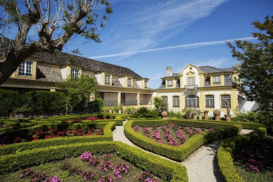 Lisbon: Private Full-Day Wine Tasting Tour in a premium car - Should You Book This Lisbon Private Wine Tasting Tour?