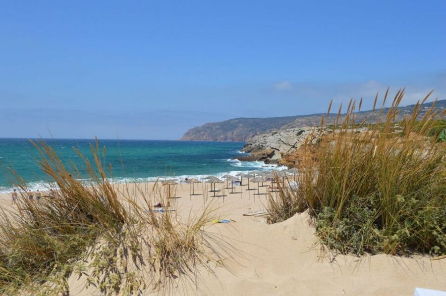 Lisbon: Private Luxury Coastline Tour - A Luxury Coast Day That Skips the Crowds
