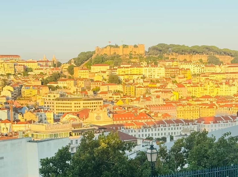 Lisbon: Private Sightseeing Tour by TukTuk - Price and value: does $74 make sense?