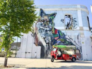 Lisbon: Sightseeing City Tour by Tuk-Tuk - Praça do Comércio and City Hall: Start in the Lisbon Everyone Recognizes