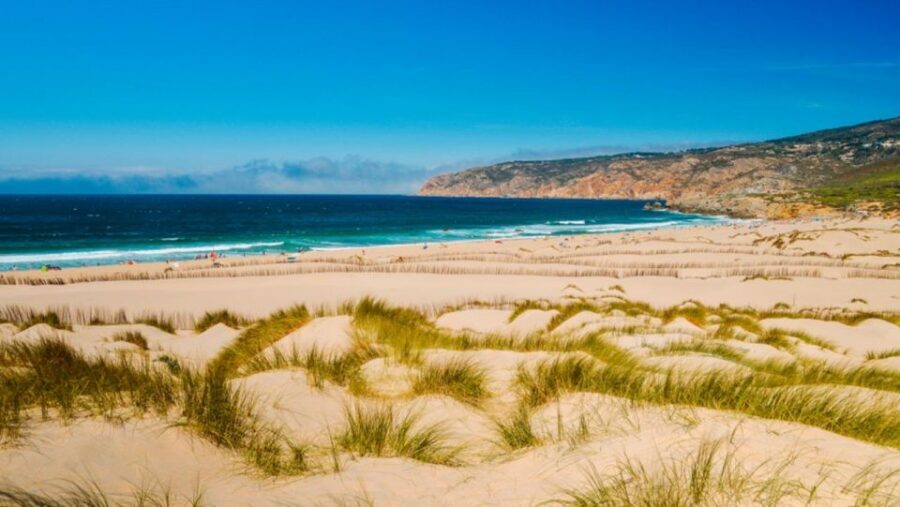 Lisbon: Sintra, Pena, Cabo da Roca Coast & Cascais Day Tour - The guide makes this day: Hugo, Ivo, Catarina, and more