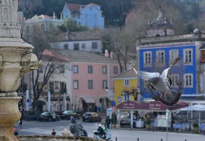 Lisbon: Sintra, Pena Palace, Quinta Regaleira, Cascais Tour - Pickup, Van Rhythm, and How the Day Stays Under Control