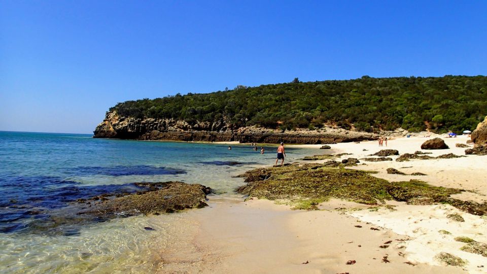 Lisbon: Southern Sights and Wine Private Tour - Who This Tour Suits Best (and Who Might Skip It)