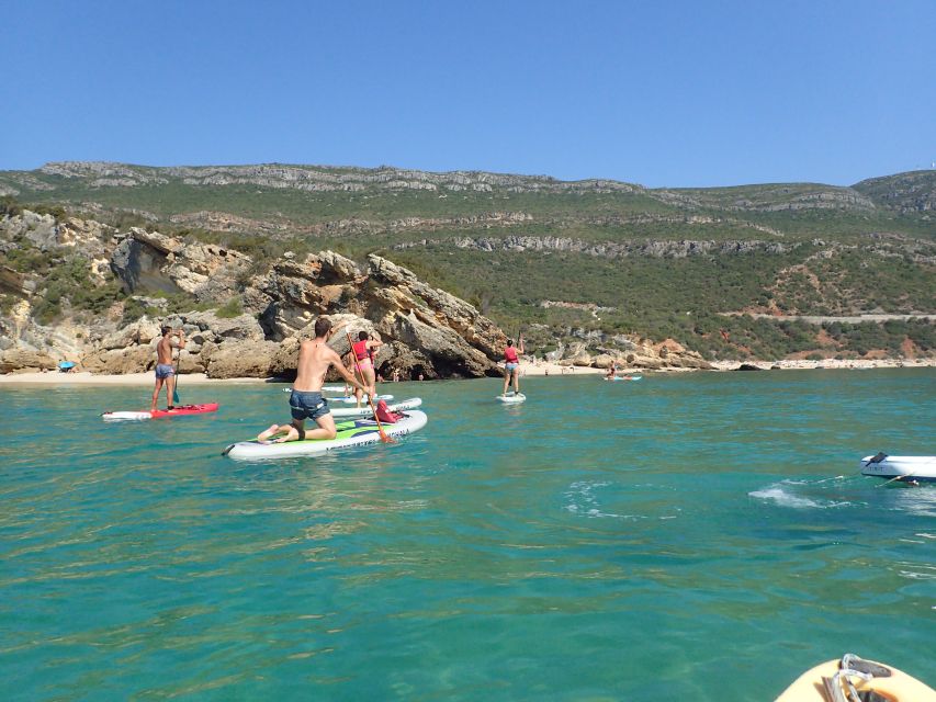 Lisbon: Stand Up Paddle Lesson in Arrábida, Setubal,Sesimbra - Prof. Luiz Saldanha Marine Park: Wildlife Spotting Without the Guesswork