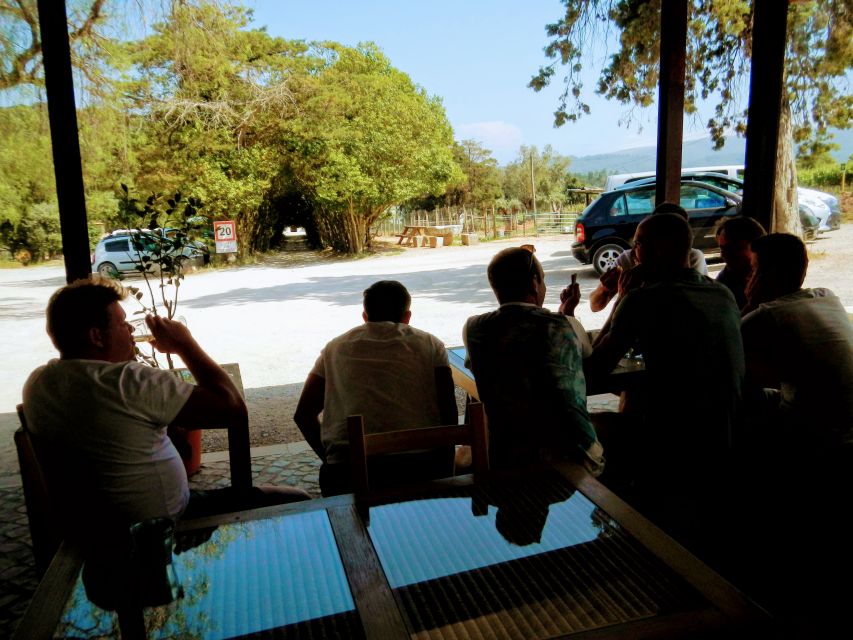 Lisbon: Surf or Bodyboard and Wine Tasting - Weather and sea conditions: the one variable you can’t control