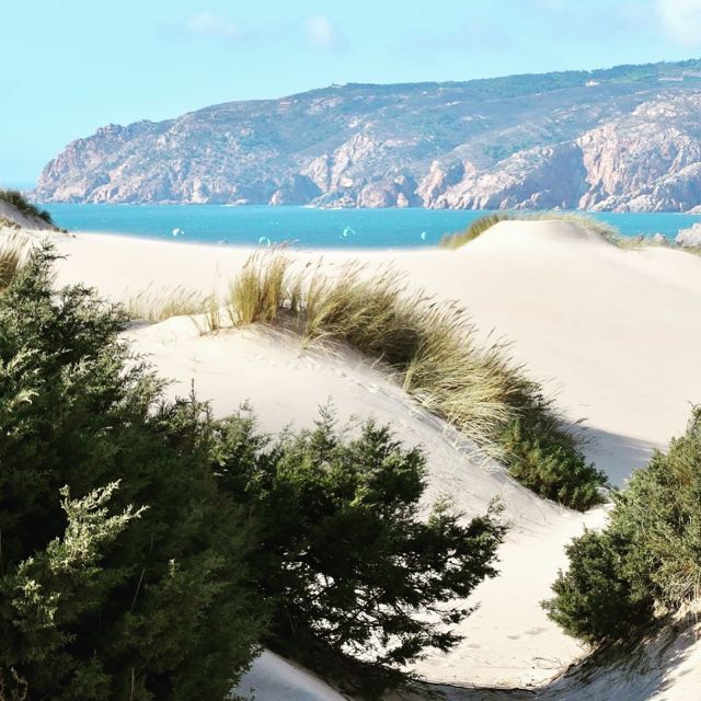 Lisbon: Tailored Tour - How a tailor-made private guide turns Lisbon into your kind of day