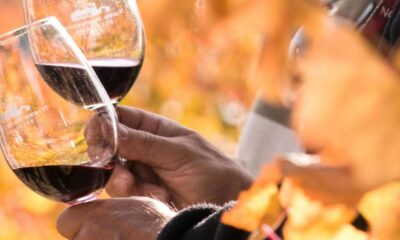 Lisbon Wine Tasting - How the Tasting Works: Aromas, Flavors, and Smarter Sips