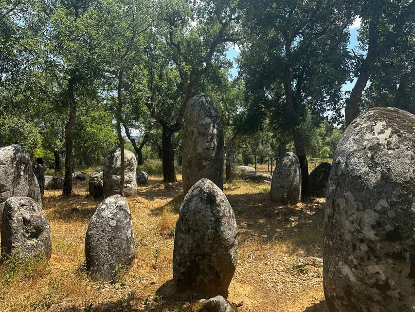 Montemor-o-Novo or Évora: One-Day Tour of Megaliths - Almendres Cromlech and other stone stops: the scale hits you in the open air