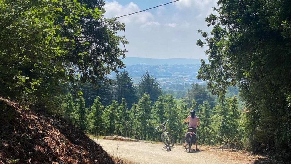 Nazaré E-Bike Tour - Off Road Coast Tour - How the 4 Hours Feel: Enough Time to Connect Dots