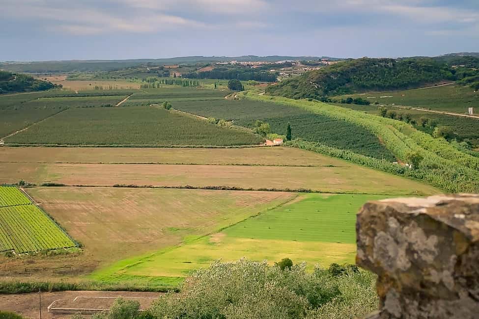 Óbidos: Flexible Walking Tour in Medieval Town - Biological Bookstore and Market: books plus organic treats