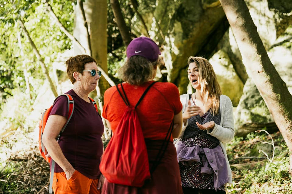 Pena Palace, Moorish Castle,Quinta ad Regaleira:Walking tour - The warm-up you’ll thank yourself for: Centro Histórico de Sintra