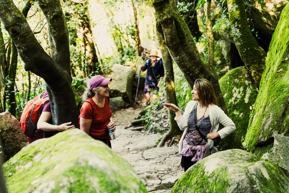 Pena Palace, Moorish Castle,Quinta ad Regaleira:Walking tour - Moorish Castle: hike up through the forest and learn the Portuguese-Arabic story