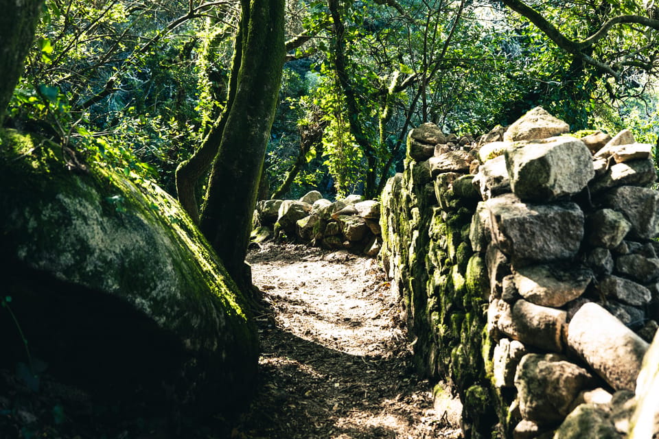 Pena Palace, Moorish Castle,Quinta ad Regaleira:Walking tour - Pena Palace in motion: the short walk that sets up a big guided visit