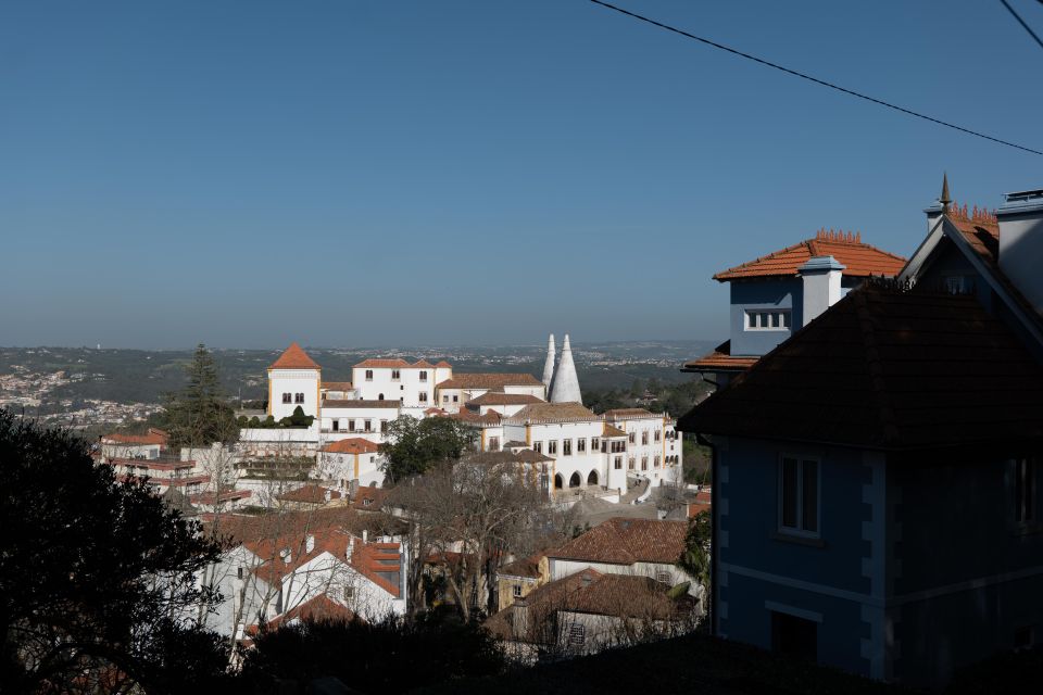 Pena Palace, Moorish Castle,Quinta ad Regaleira:Walking tour - The final wrap near Sintra National Palace and heading back to Lisbon