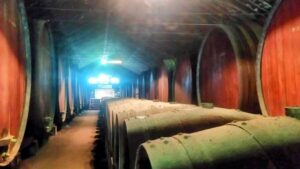 Portuguese Wine History & Amazing Landscape - Arrábida National Park and Portinho Beach: White Sand, Clear Water, and Real Break Time