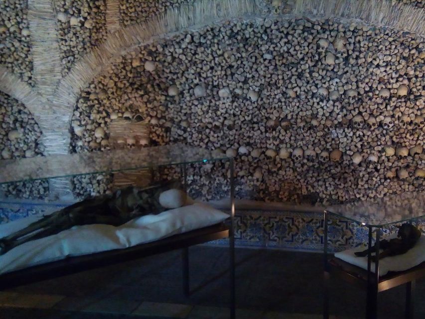 Private day tour to Évora: cork, factory, winery & the city - Cortiçarte cork production: what you’ll learn and buy