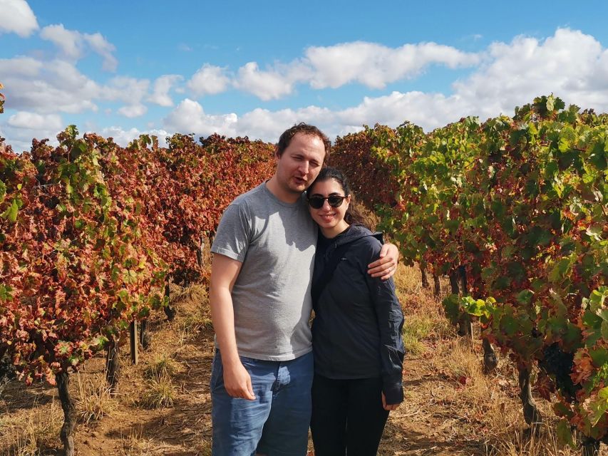 Private day tour to Évora: cork, factory, winery & the city - Should you book this Évora cork, winery, and city day?