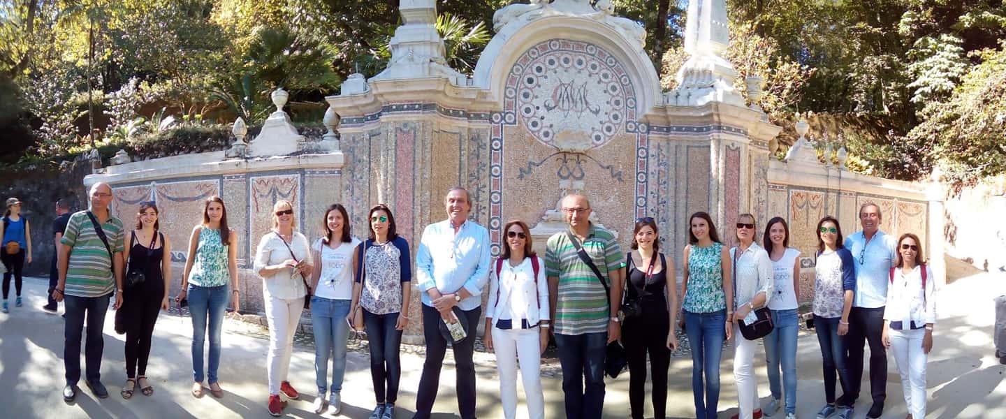 Private Half Day tour Sintra Pena Palace & Initiantion Well - Entering Sintra’s fairytale mood without wasting hours