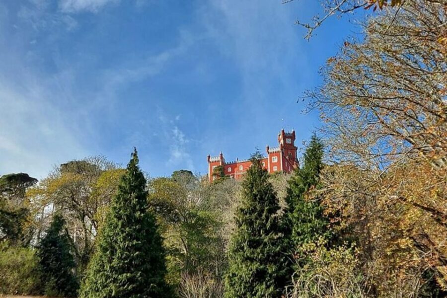 Private Half-Day Tour to Sintra - Sintra in 5 Hours: What This Half-Day Actually Gives You