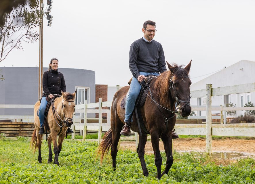 PRIVATE Horseback Riding On The Beach - Key Points Before You Ride