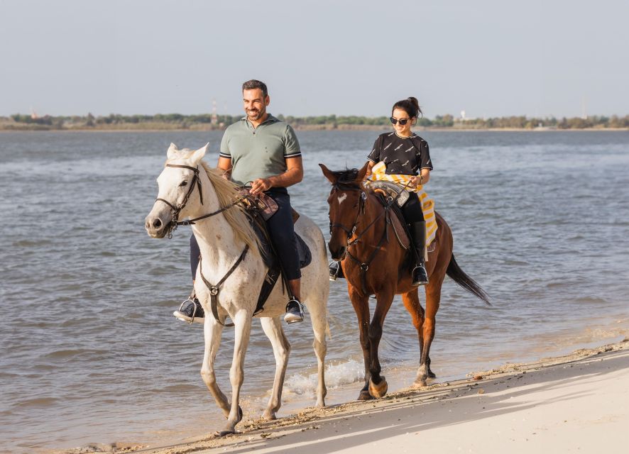 PRIVATE Horseback Riding On The Beach - Tides Decide the Timing: Plan for Flexibility