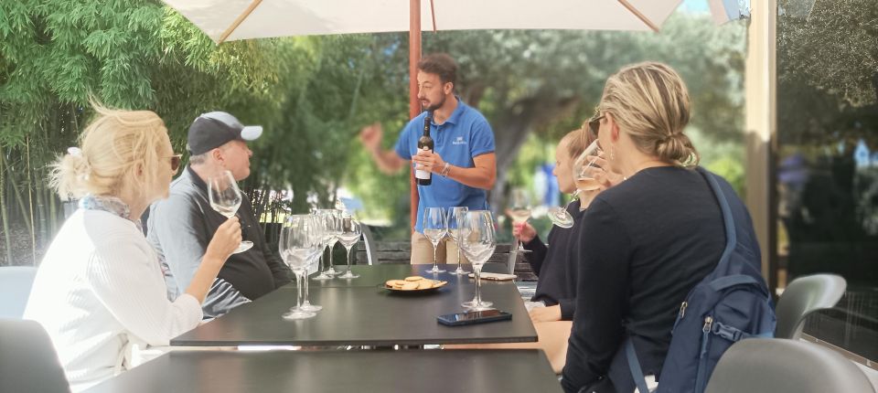 Private Lisbon Arrábida Wine Tour: Culture, Scenery & Wines - Key moments you’ll care about
