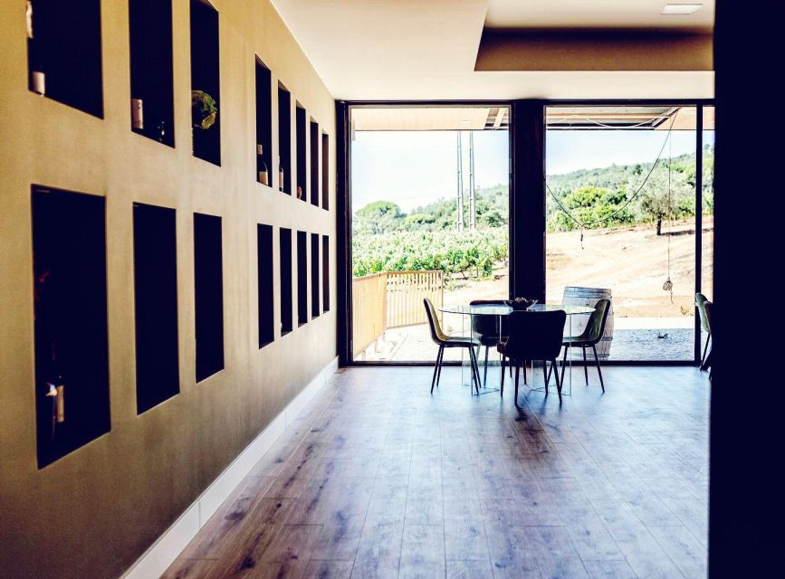 Private Lisbon Arrábida Wine Tour: Culture, Scenery & Wines - Why This Tour’s $192 Price Can Make Sense (and When It Doesn’t)