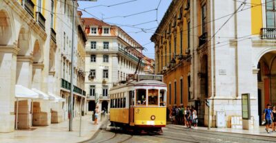 Private Tour - Customizable Full-Day Journey in Lisbon - The Tesla Model Y Details That Make an 8-Hour Day Easier