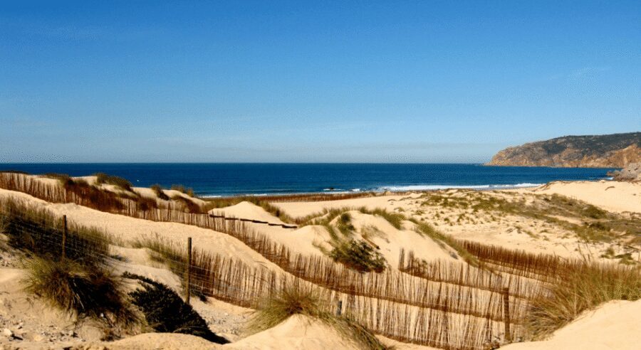 Private Tour : Sintra, Pena palace, Cabo da roca, Cascais - Guide style matters more than you think