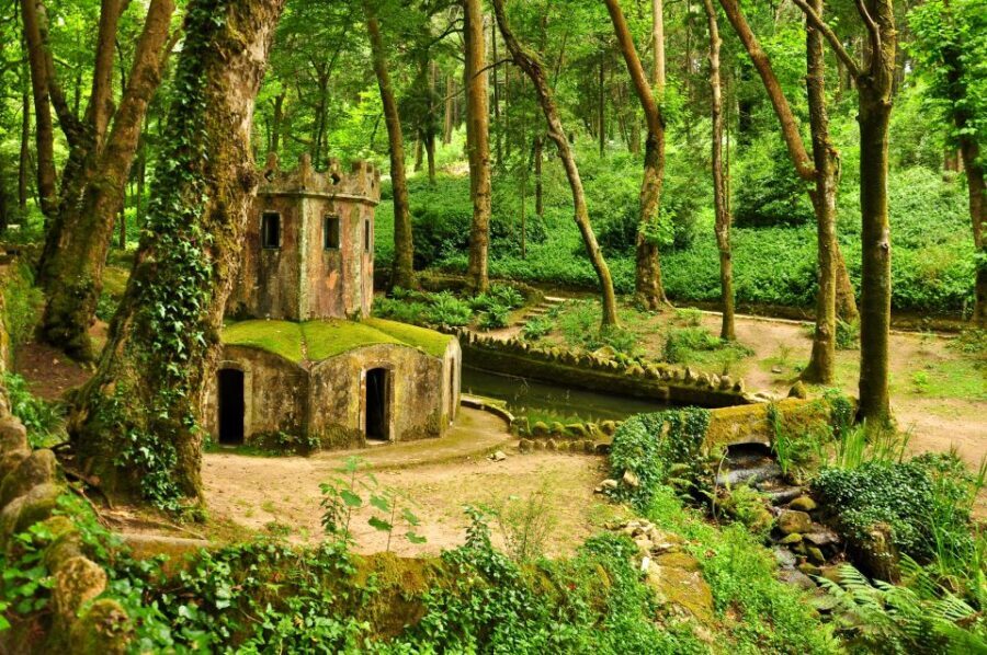 Private Tour - Sintra with Pena Palace and Cascais - Who This Tour Fits Best (and Who Might Want Another Plan)