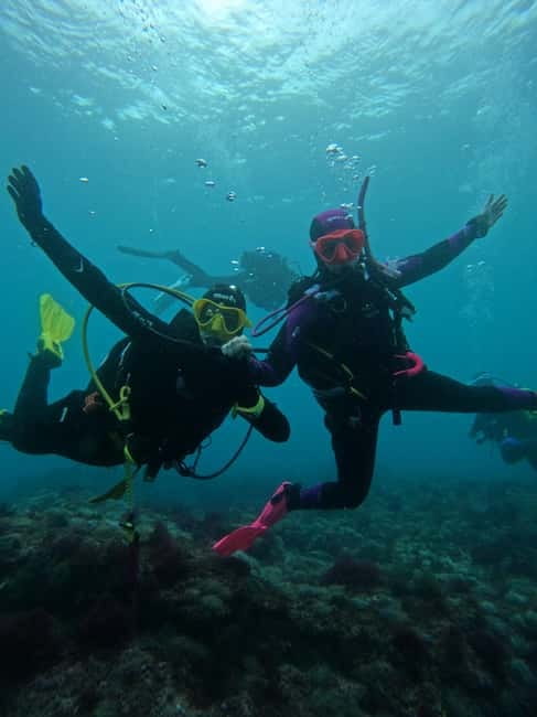 Sesimbra: Arrábida Marine Reserve Scuba Diving Experience - Tips to Get More Comfort and Less Confusion