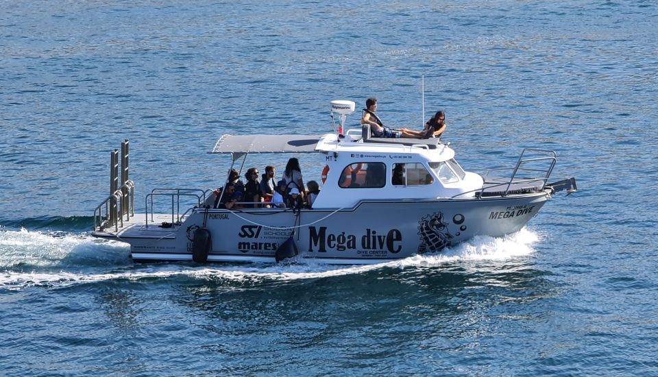 Sesimbra: Dolphin Watching with a marine biologist - Getting to Porto de Sesimbra: meeting, safety, and first views
