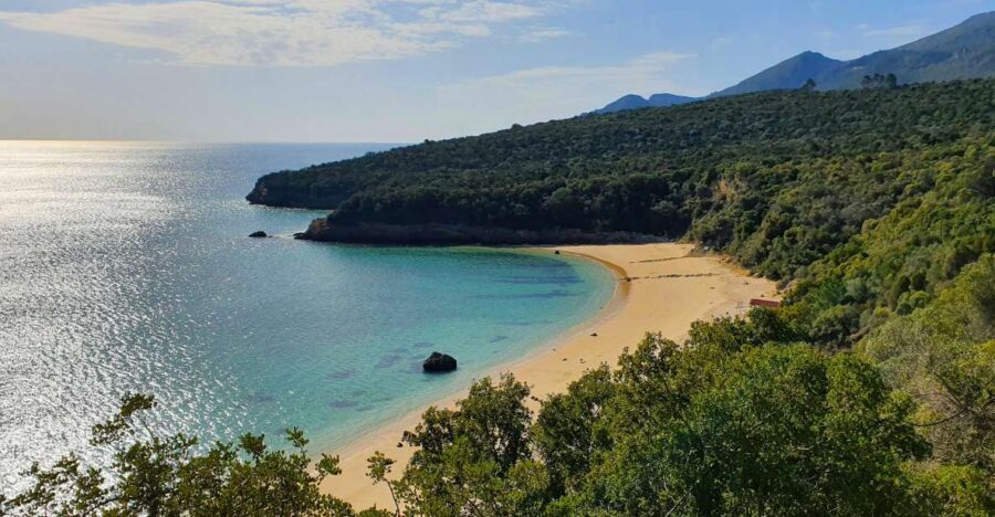 Sesimbra e Arrábida Natural Park: 1 Day Tour & Wine Tasting - Key points you’ll feel right away