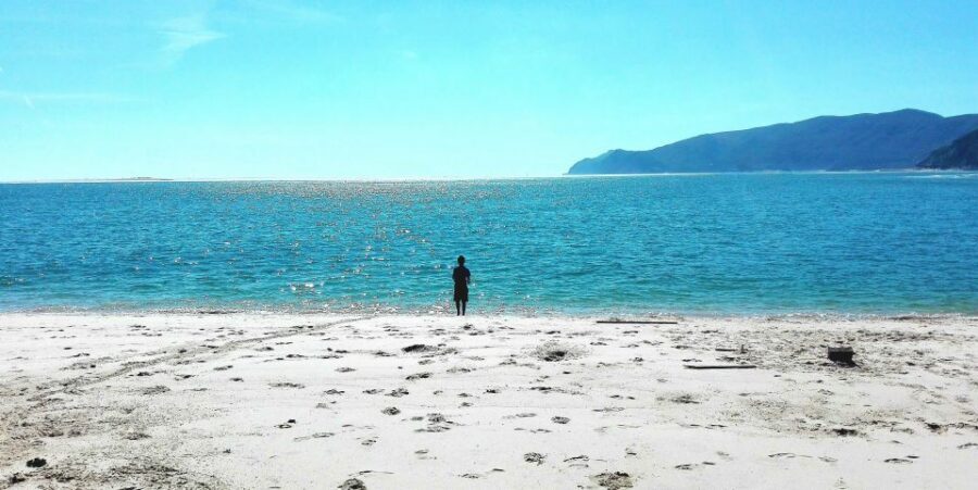 Sesimbra e Arrábida Natural Park: 1 Day Tour & Wine Tasting - Leaving Lisbon via Ponte 25 de Abril and the Tejo Estuary