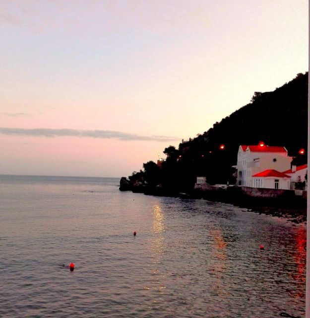 Sesimbra e Arrábida Natural Park: 1 Day Tour & Wine Tasting - Arrábida Natural Park: wildlife, sea-and-mountain views, and beach time