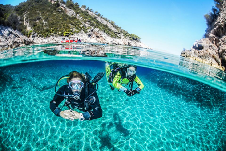 Sesimbra: First Scuba Diving Experience in the Ocean - Key highlights worth planning for