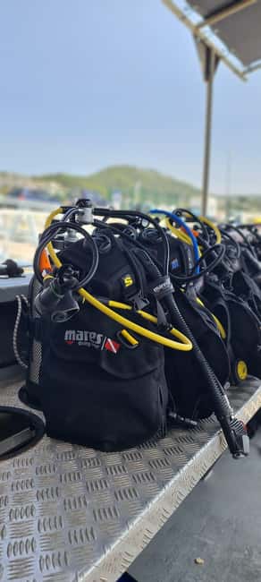 Sesimbra: First Scuba Diving Experience in the Ocean - The 40-Minute Sea-Spot Window: Snorkeling, Marine Life Viewing, and Real Time Outside