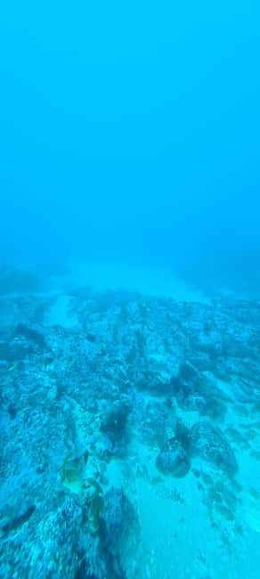 Sesimbra: First Scuba Diving Experience in the Ocean - Underwater Time With an Instructor: Guided Breathing and Calm Control