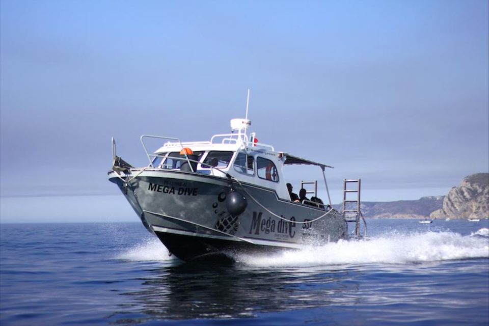 Sesimbra: First Scuba Diving Experience in the Ocean - Traditional Sesimbra Sweet and the Post-Session Comfort Checklist