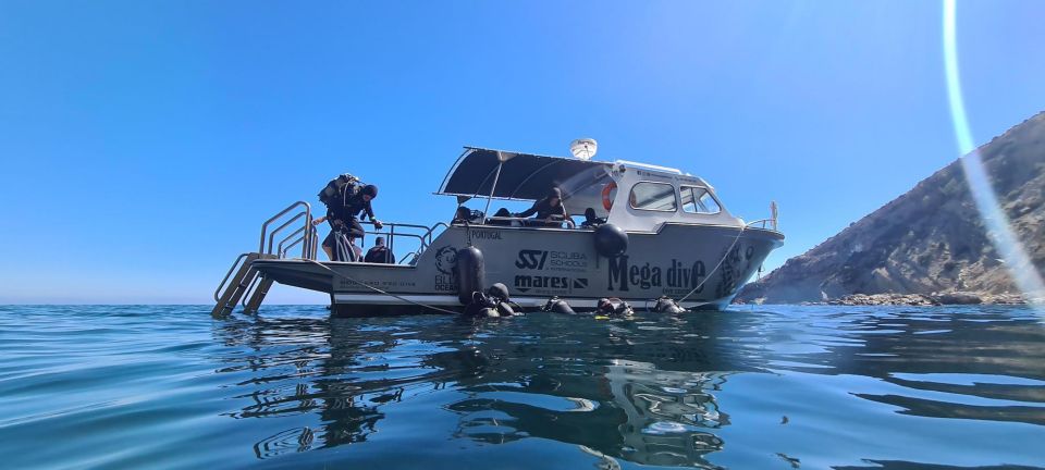 Sesimbra: First Scuba Diving Experience in the Ocean - Who Should Book This (and Who Should Skip It)