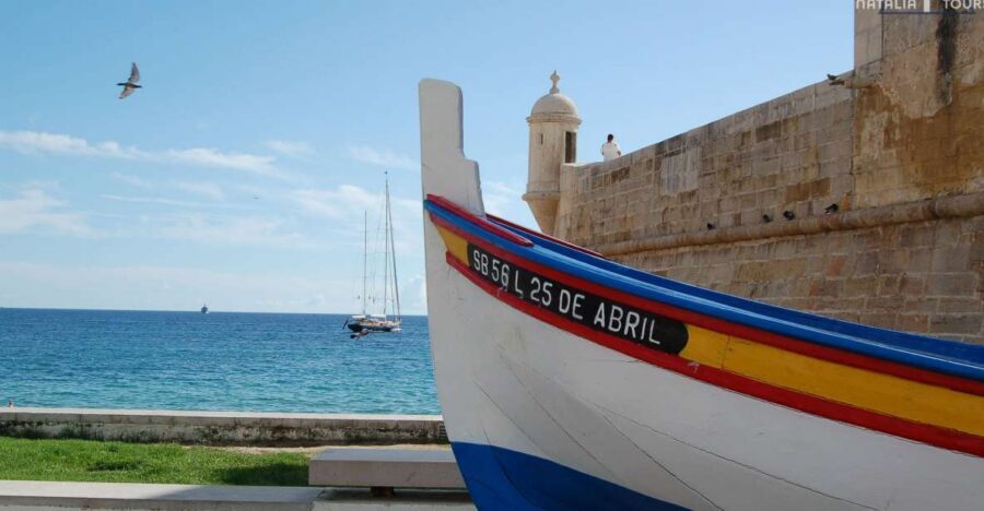 Sesimbra: Half-Day Tour to Arrabida with Wine Tasting - Key highlights that make this tour worth your time
