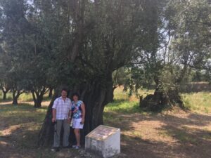 Sesimbra: Half-Day Tour to Arrabida with Wine Tasting - Price and what you’re really paying for ($139 per person)