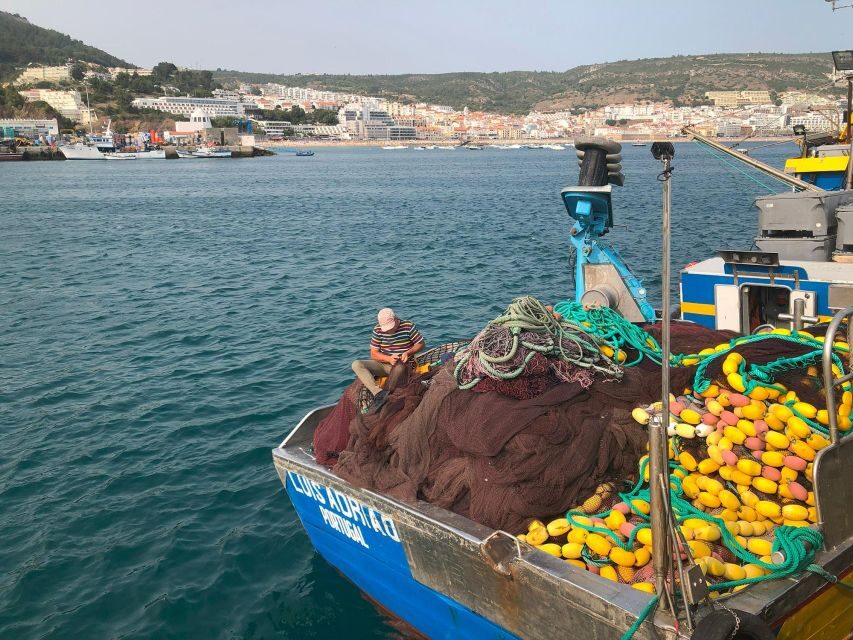 Sesimbra: Half-Day Tour to Arrabida with Wine Tasting - Azulejos de Azeitão: seeing tile making as a craft, not a souvenir stall