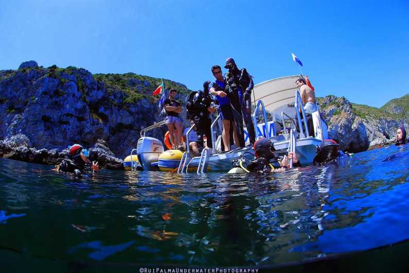 Sesimbra: Scuba Diving Experience for Beginners - Key things you’ll care about before you go