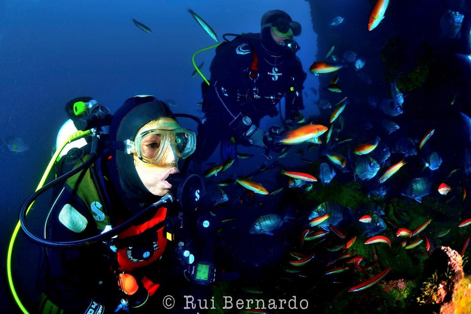 Sesimbra: Scuba Diving Experience for Beginners - Meet at Cipreia’s Sesimbra center by the marina