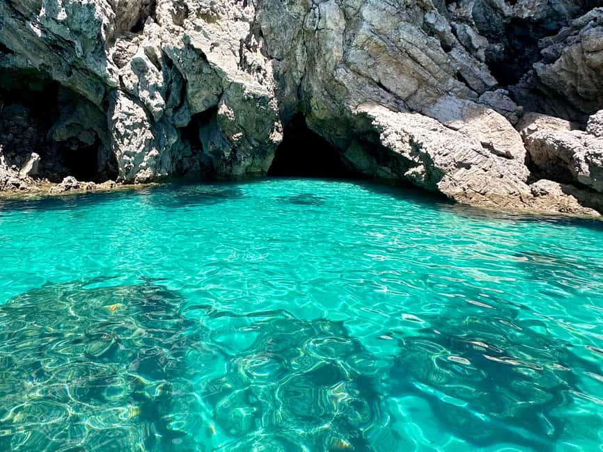 Sesimbra: Secret Beaches and Caves - Arrábida Natural Park stops: marine life isn’t just a line in the brochure