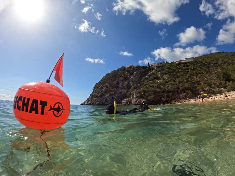 Sesimbra: Snorkeling experience in Arrábida Marine Reserve - Quick hits before you book