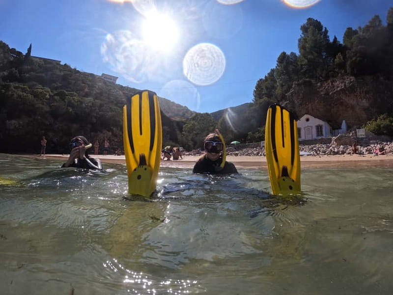Sesimbra: Snorkeling experience in Arrábida Marine Reserve - What’s included (and why it’s worth more than it sounds)