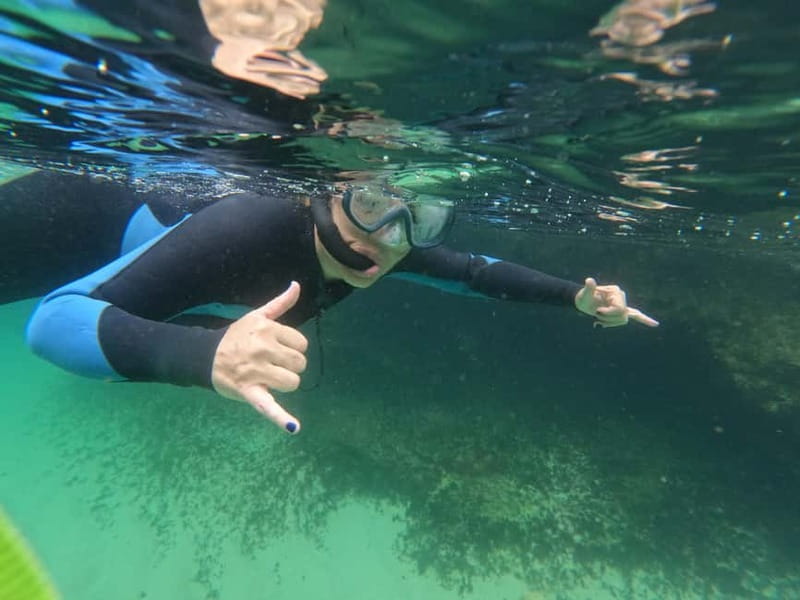 Sesimbra: Snorkeling experience in Arrábida Marine Reserve - Underwater skills you can actually use after you leave