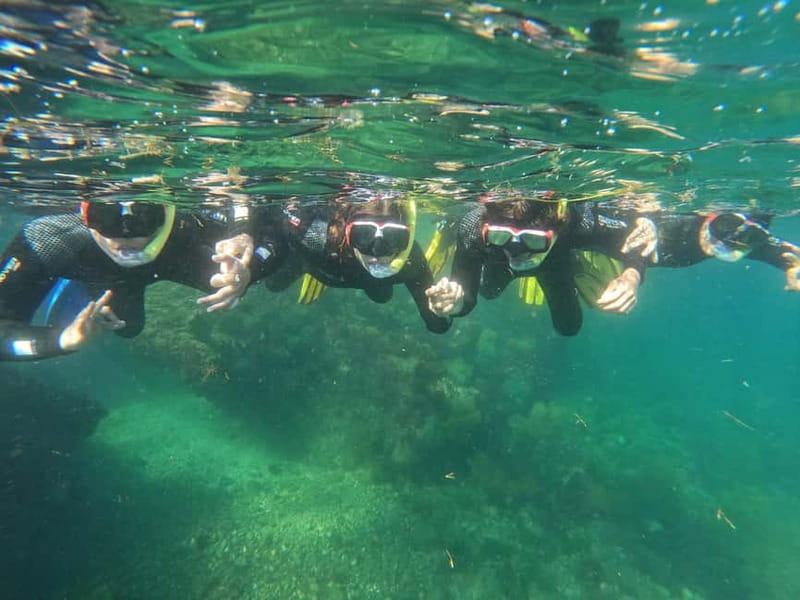 Sesimbra: Snorkeling experience in Arrábida Marine Reserve - The guides: where the experience really earns its 4.5 rating